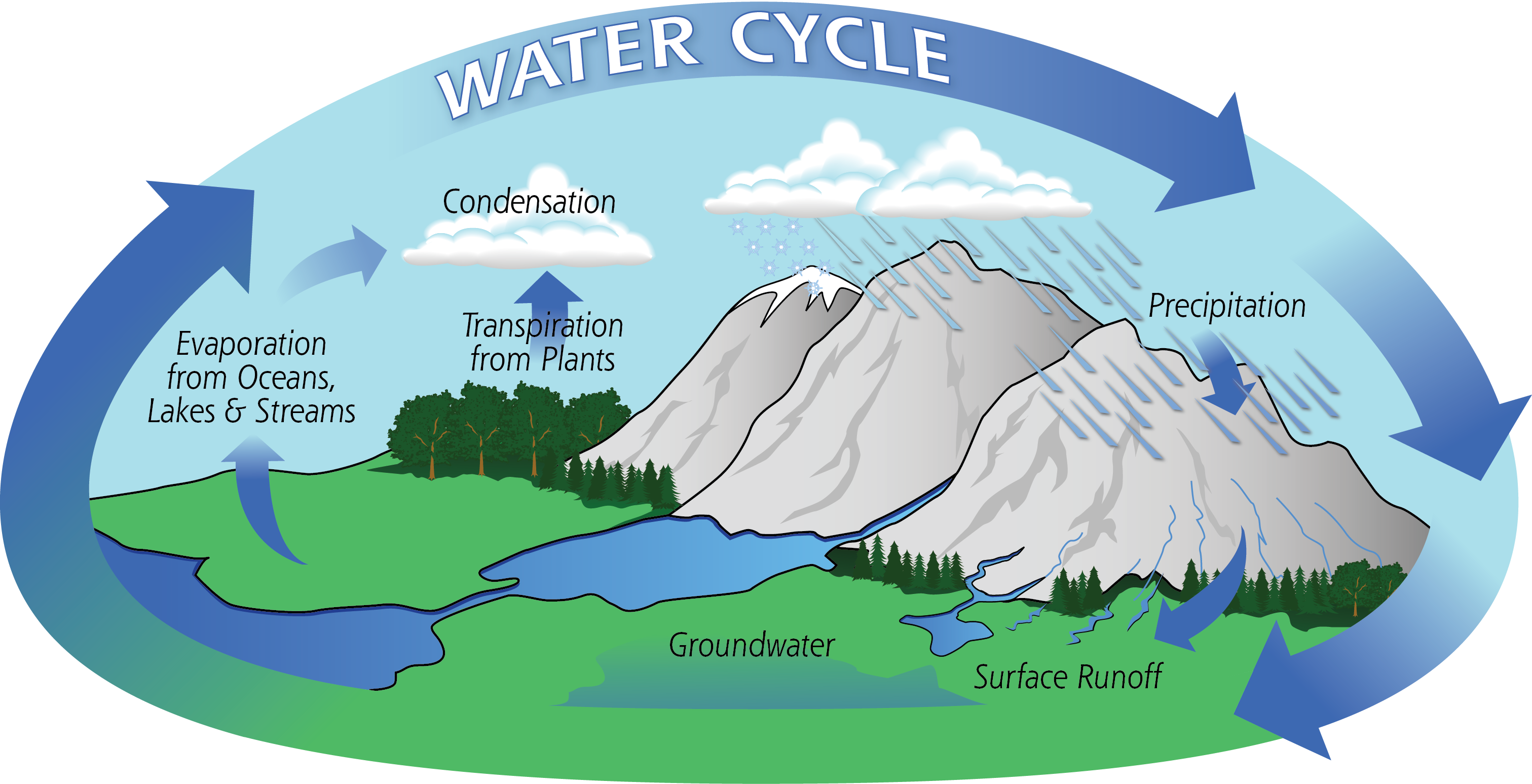 The life cycle of water
